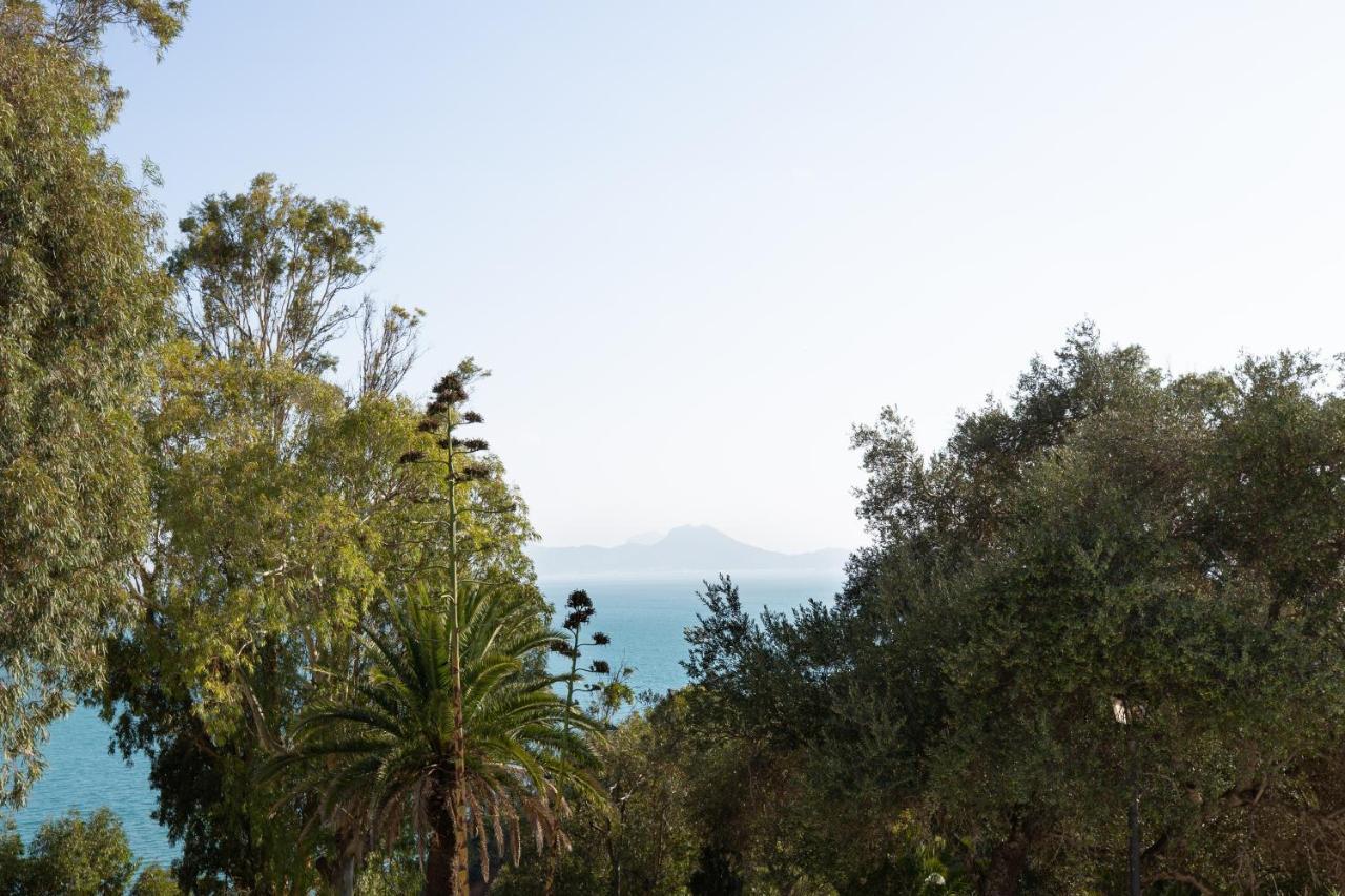 Si Brahim Studio Piscine, Sidi Bou Said Exterior foto