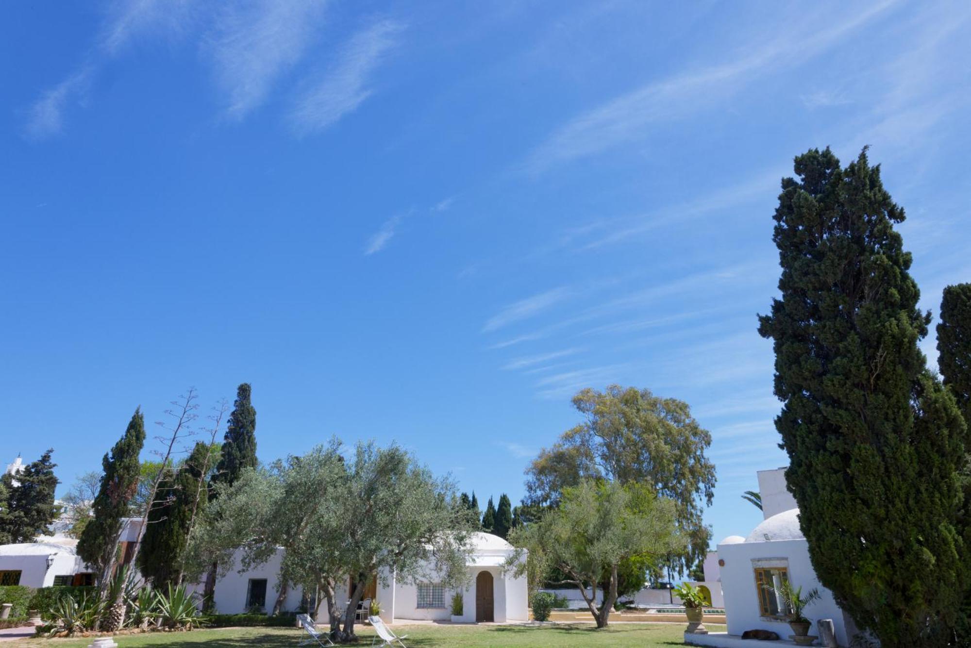Si Brahim Studio Piscine, Sidi Bou Said Exterior foto