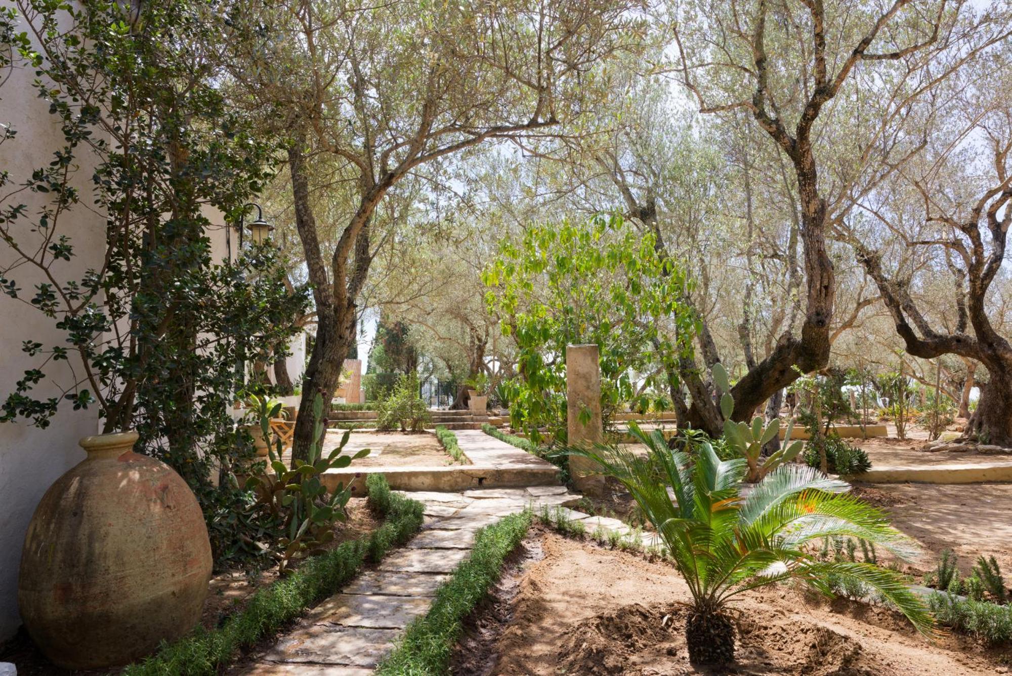 Si Brahim Studio Piscine, Sidi Bou Said Exterior foto